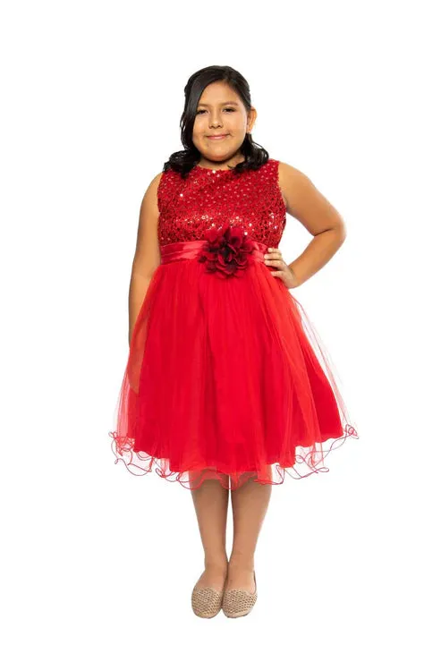 Big Girls Sequin Tulle Plus Size Party Dress 16.5-20.5