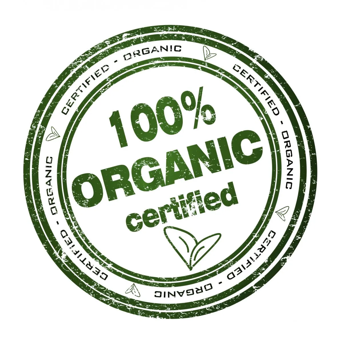 Hey Ma Organic Baby & Toddler Ginger Pullover